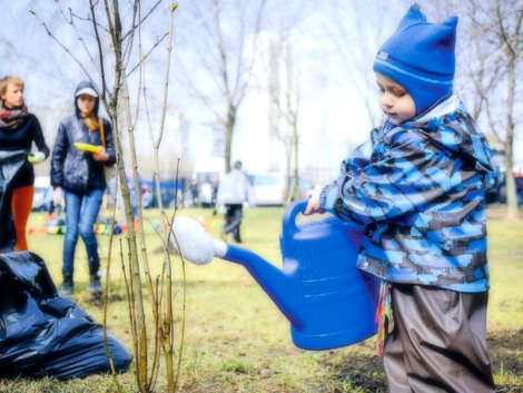 05930d8846987200018b40e2994f35a9