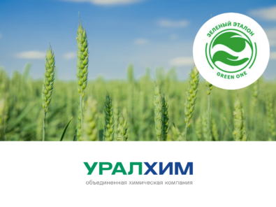 зеленый эталон