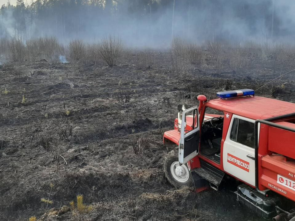 Ограничено пребывание в лесах vgvuwi23MOrOFjWl72P6v0e2FUZ6uQDP4KmTbW67NTeOUPIcaelyNboPajplZxgvsxztSfeoEOrVf8D77jCN83wnQPU165Y2