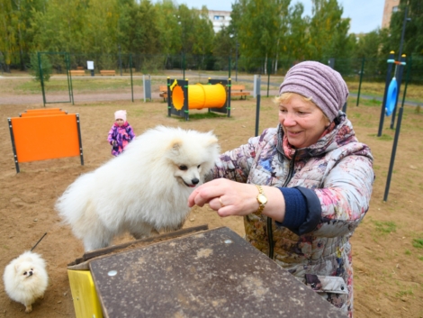 выгул собак