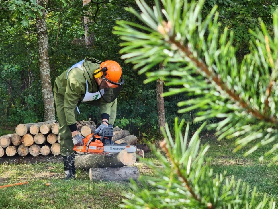 Воскресенский лесник стал одним из лучших в Подмосковье Воскресенский лесник стал одним из лучших в Подмосковье
